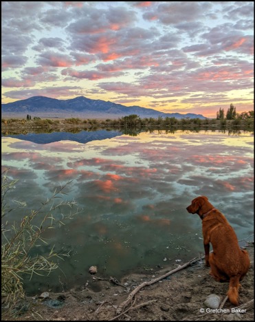 Mt Moriah sunrise reflection and dog