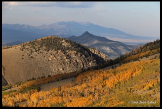 4-Photo 21 - Mountain Forests