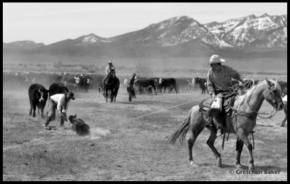 2-1-Photo 33c - Cowboys-002