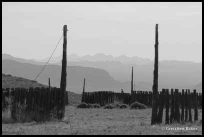 3-1-corral in Basin and Range NM